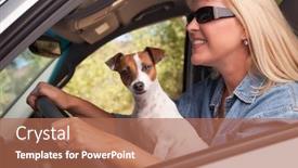  Presentation with russell - PPT layouts with jack russell terrier dog enjoying a car ride background and a coral colored foreground