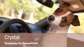  Presentation with dog park animal jack - Audience pleasing PPT layouts consisting of jack russell terrier dog enjoying backdrop and a coral colored foreground