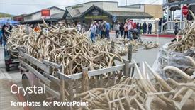  Presentation with boy scouts - 