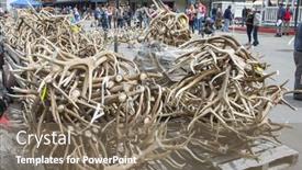  Presentation with boy scouts - 