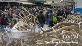  Presentation with boy scouts - 