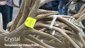  Presentation with boy scouts - 