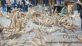  Presentation with scouts - 