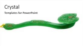  Presentation with background - PPT layouts with jade ruyi on white background background and a white colored foreground