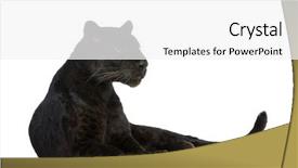  Presentation with black cat in front - PPT theme with black leopard 6 years background and a white colored foreground