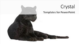  Presentation with cool - Theme with black leopard 6 years background and a white colored foreground