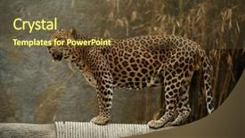  Presentation with chiang mai - Beautiful PPT theme featuring the nature habitat national backdrop and a tawny brown colored foreground