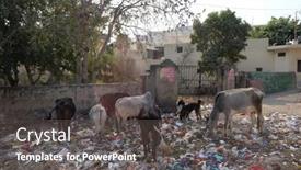  Presentation with rajasthan - 