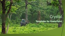  Presentation with safari - 