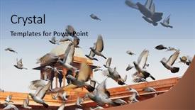  Presentation with masjid - Slides featuring jama masjid mosque in delhi background and a light blue colored foreground