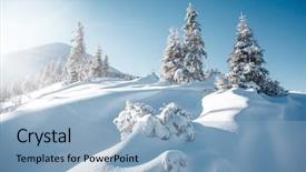  Presentation with magical - Audience pleasing slide set consisting of january - magical white spruces backdrop and a light blue colored foreground