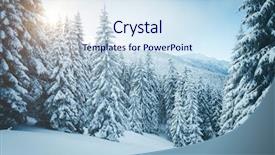  Presentation with spectacular - Beautiful PPT theme featuring january - spectacular white spruces backdrop and a sky blue colored foreground