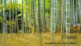 Presentation with kyoto - PPT layouts having japan at the bamboo forest background and a gold colored foreground