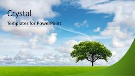  Presentation with green tree - Slide deck consisting of japan europe - field with green grass background and a light blue colored foreground