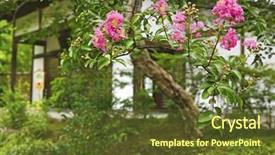  Presentation with gardens - Colorful PPT layouts enhanced with japan himeji himeji koko-en gardens backdrop and a tawny brown colored foreground