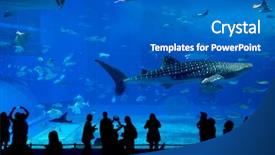  Presentation with japan - Cool new presentation with japan okinawa aquarium backdrop and a teal colored foreground