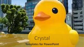  Presentation with rubber duck - 