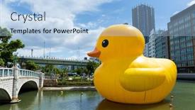  Presentation with rubber duck - 