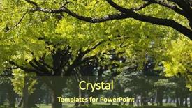  Presentation with tokyo - Audience pleasing theme consisting of japan tokyo marunouchi business district park backdrop and a tawny brown colored foreground