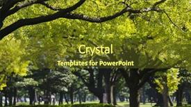  Presentation with tokyo - Presentation theme having japan-tokyo-marunouchi-business-district background and a tawny brown colored foreground