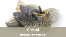  Presentation with japanese kanji - Presentation design enhanced with japan wine - dried blowfish fins for hirezake background and a gray colored foreground