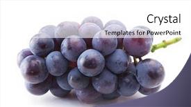  Presentation with grape vine wine grapes - Cool new slides with japan wine - kyoho grapes giant mountain grapes backdrop and a white colored foreground
