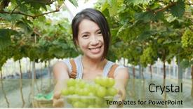  Presentation with grape - Colorful theme enhanced with japan wine - woman holding green grape backdrop and a  colored foreground