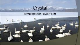  Presentation with japan - Cool new PPT theme with japan winter - swan lake backdrop and a light blue colored foreground