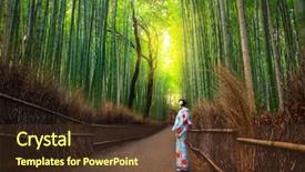  Presentation with kyoto - Presentation with japanese - bamboo forest of arashiyama near background and a tawny brown colored foreground