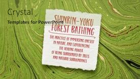  Presentation with healing - PPT theme having japanese-concept-of-shinrin-yoku background and a  colored foreground