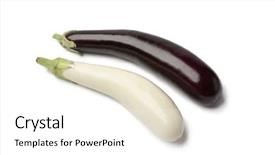  Presentation with octopus on isolated white - PPT theme featuring japanese eggplants on white background background and a white colored foreground
