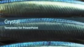  Presentation with metallic blue - Colorful PPT theme enhanced with japanese fishing - cooking sardines metallic blue backdrop and a ocean colored foreground