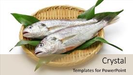  Presentation with fishing - Colorful slide set enhanced with japanese fishing - croaker fish isolated on white backdrop and a coral colored foreground