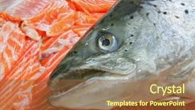  Presentation with salmon - Colorful slides enhanced with japanese fishing - raw salmon head on heap backdrop and a tawny brown colored foreground