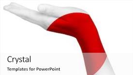  Presentation with japanese - PPT theme featuring japanese flag on an open background and a white colored foreground