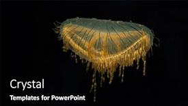  Presentation with jelly - Presentation theme enhanced with japanese-flower-hat-jelly background and a  colored foreground