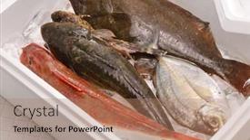  Presentation with boxes - Slide deck enhanced with japanese-fresh-fish-boxes-include background and a  colored foreground