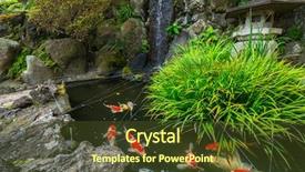  Presentation with mythology gold fish - PPT layouts featuring japanese garden with gold fishes background and a tawny brown colored foreground