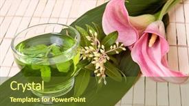  Presentation with simple green - Slide set having japanese green tea background and a tawny brown colored foreground