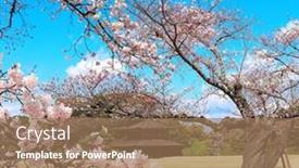  Presentation with japan sakura - Beautiful slides featuring japanese-hanami-festival-people-enjoy backdrop and a coral colored foreground