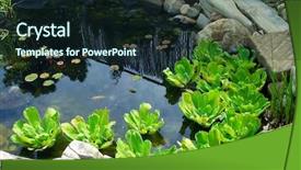  Presentation with how to design a landscape - Beautiful slide deck featuring dome of the rock from israel in winter backdrop and a coral colored foreground