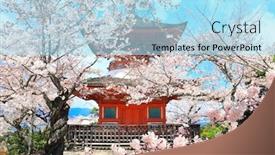 Presentation with japan sakura - Colorful PPT layouts enhanced with japanese-pagoda-and-sakura-flowers backdrop and a light blue colored foreground