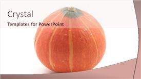  Presentation with japanese - Presentation theme having japanese-pumpkin-in-isolated-white background and a lemonade colored foreground