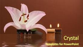  Presentation with japanese - Presentation theme enhanced with japanese spa composition over dark background and a tawny brown colored foreground