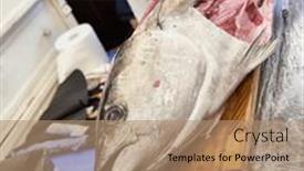  Presentation with master chef - PPT theme having japanese-sushi-master-chef-cutting background and a  colored foreground