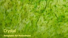  Presentation with seaweed - Presentation theme featuring japanise - wet seaweed kelp laminaria surface background and a  colored foreground