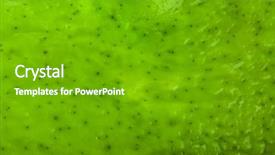  Presentation with seaweed - Amazing slide set having optimization - business technology internet and network backdrop and a dark gray colored foreground