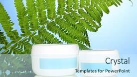  Presentation with fern - Presentation theme featuring statistics - healthcare economics - two businesspeople background and a gray colored foreground