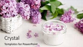  Presentation with purple spring - Presentation with jar with bouquet of purple background and a light gray colored foreground