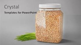  Presentation with art white gray grey - Slide deck featuring jar-with-wheat-grass-seeds background and a light gray colored foreground
